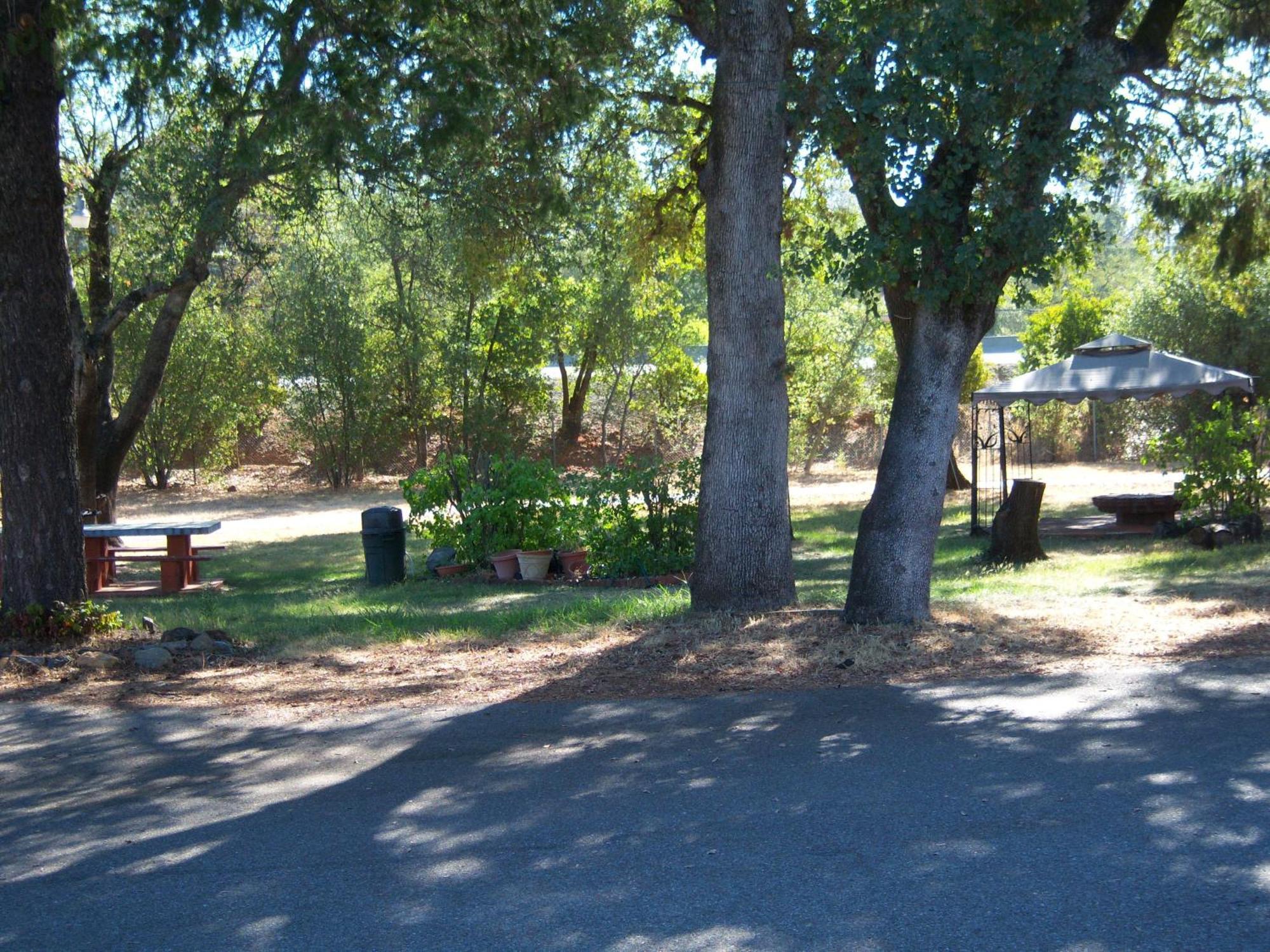 Shasta Dam Motel Shasta Lake Bagian luar foto